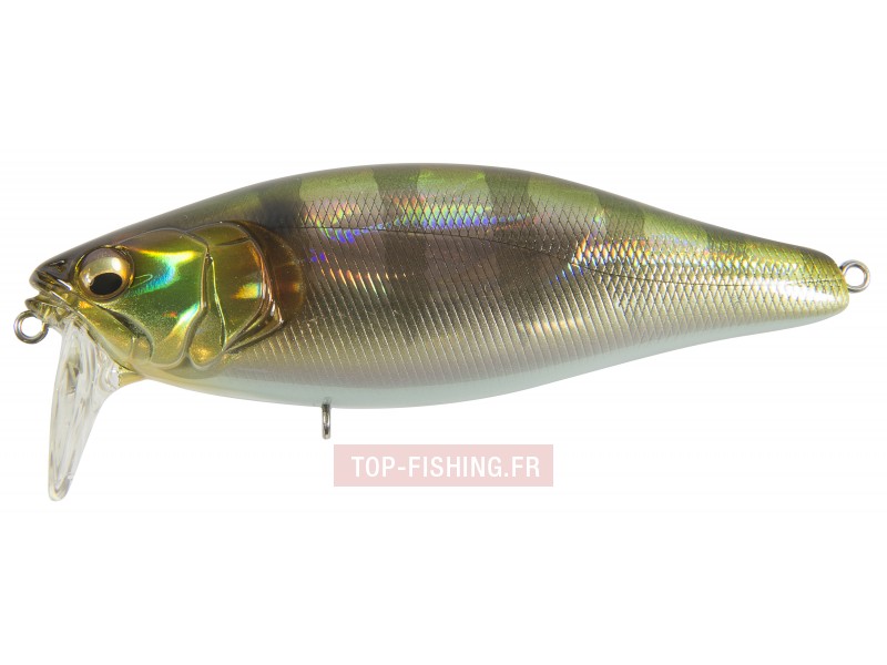 leurre-i-jack-108-couleur-gg-gill-ii.jpg leurre-i-jack-108-couleur-gg-gill-ii.jpg