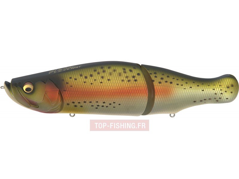 leurre-i-slide-262t-couleur-rainbow.jpg leurre-i-slide-262t-couleur-rainbow.jpg