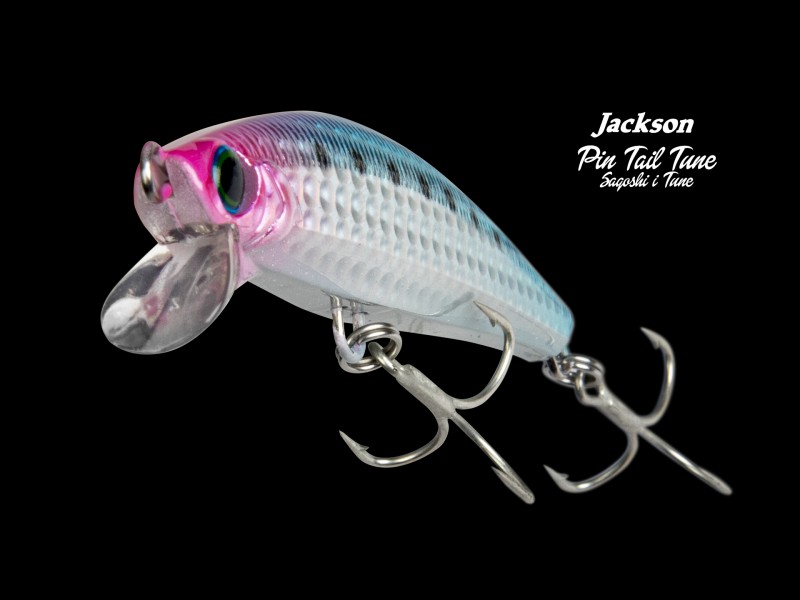 leurre-jackson-pin-tail-sagoshi-tune-90mm-8.jpg