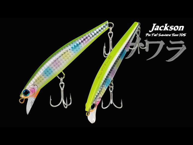 Leurre Jackson Pintail Sawara Tune 105mm