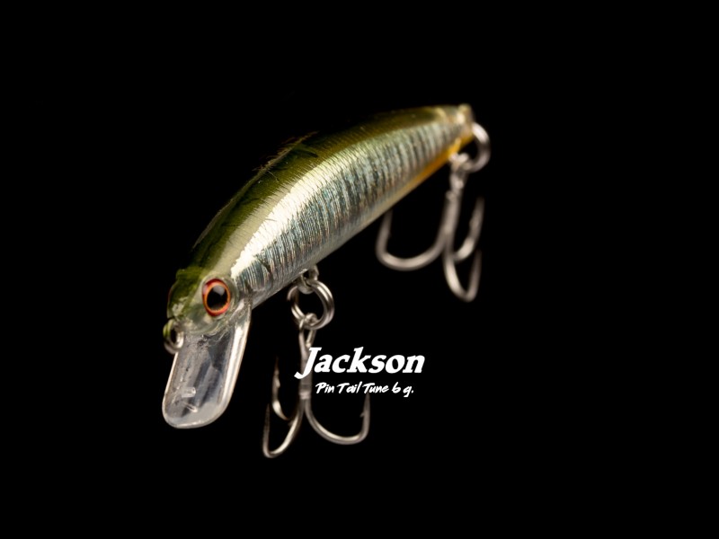 leurre-jackson-pintail-tune-55mm-6g-1.jpg