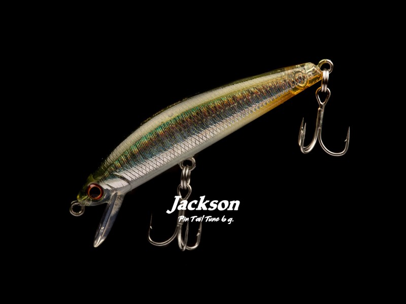 leurre-jackson-pintail-tune-55mm-6g-2.jpg