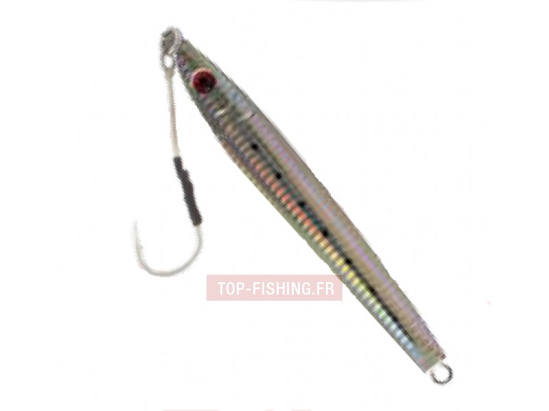 leurre-jig-sanagi-couleur-silver.jpg leurre-jig-sanagi-couleur-silver.jpg