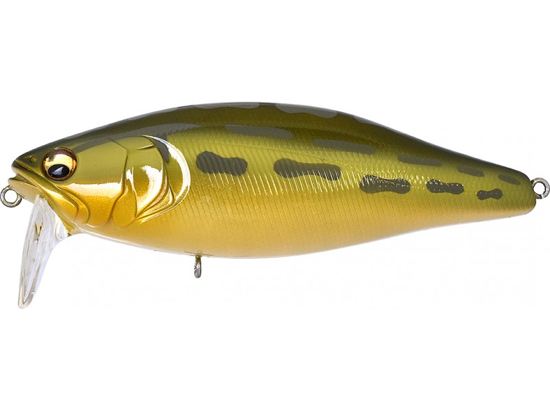 leurre-megabass-i-jack-108-mm-13-tonosamafrog.jpg leurre-megabass-i-jack-108-mm-13-tonosamafrog.jpg