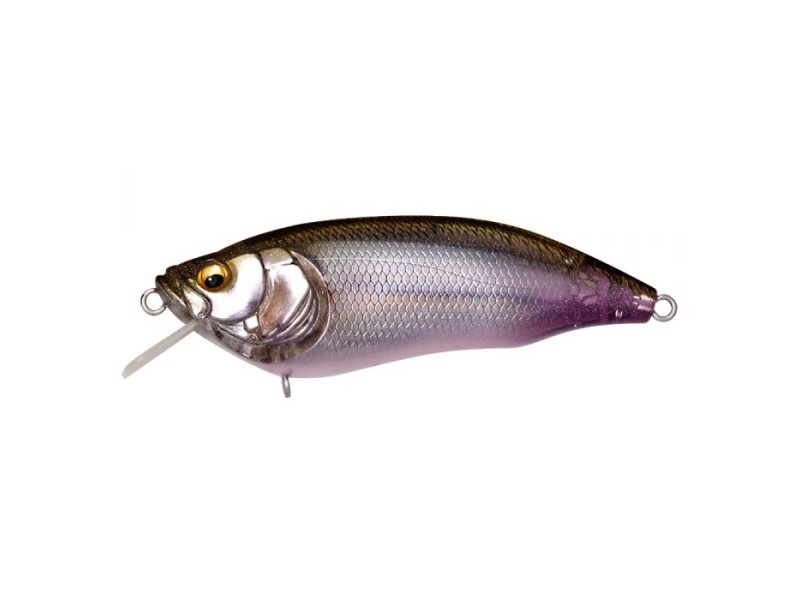 leurre-megabass-ixi-furious-1-5-64mm-2-fa-ghost-wakasagi.jpg leurre-megabass-ixi-furious-1-5-64mm-2-fa-ghost-wakasagi.jpg