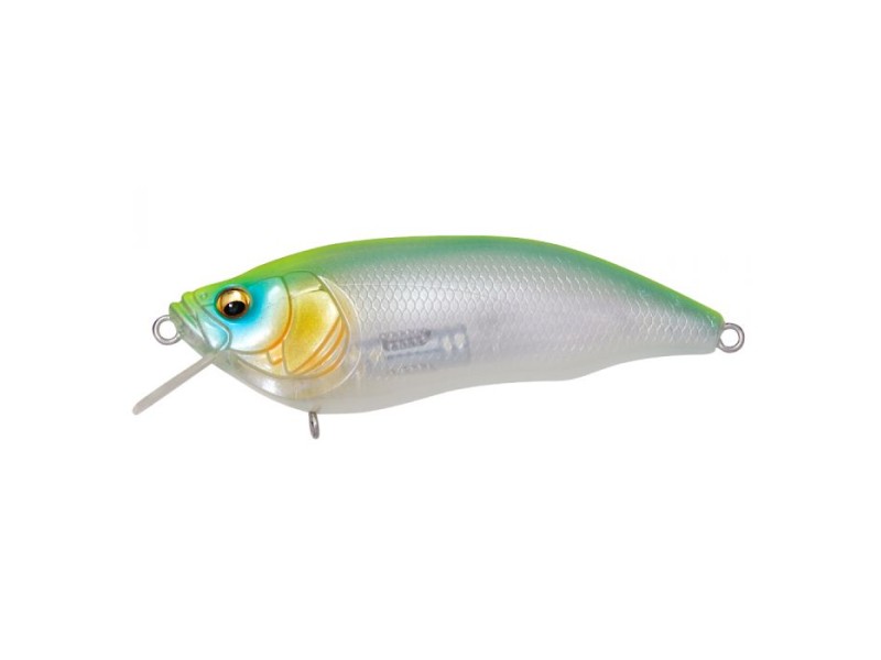 leurre-megabass-ixi-furious-1-5-64mm-3-ik-strong-chart.jpg leurre-megabass-ixi-furious-1-5-64mm-3-ik-strong-chart.jpg