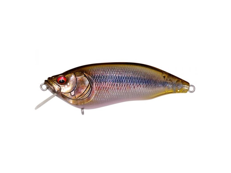 leurre-megabass-ixi-furious-1-5-64mm-fa-ghost-lawamutsu.jpg leurre-megabass-ixi-furious-1-5-64mm-fa-ghost-lawamutsu.jpg