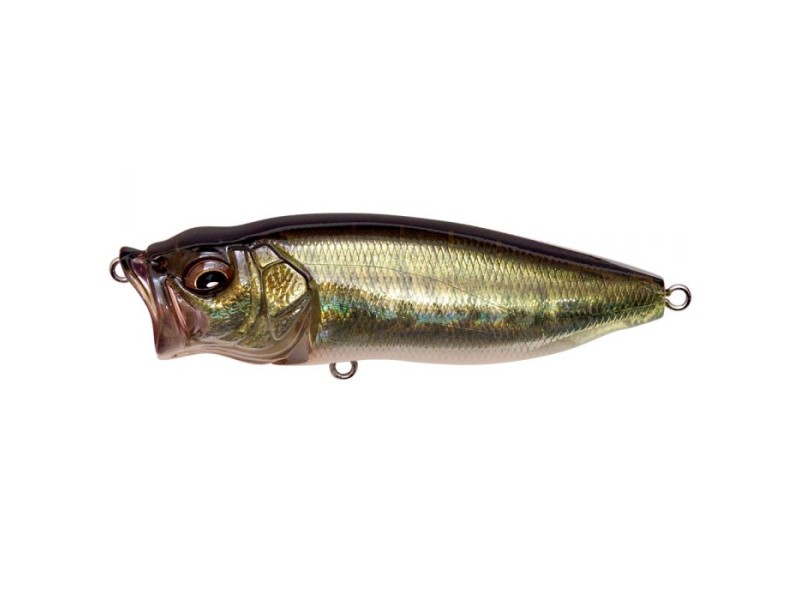 leurre-megabass-pop-max-10-fa-bass.jpg