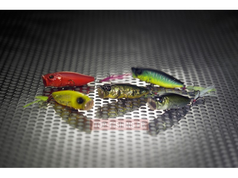 leurre-megabass-pop-max-2.jpg