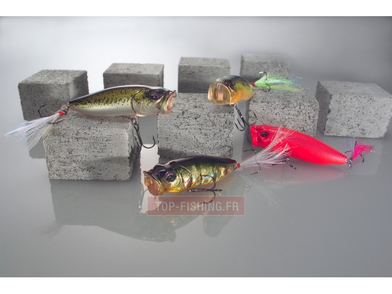 leurre-megabass-pop-max.jpg