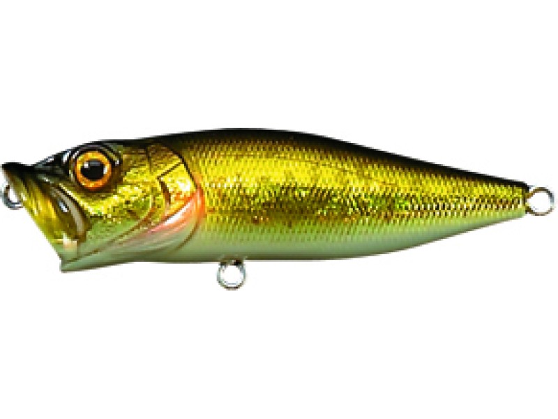 leurre-megabass-pop-x-12-popx-ggbass.jpg leurre-megabass-pop-x-12-popx-ggbass.jpg