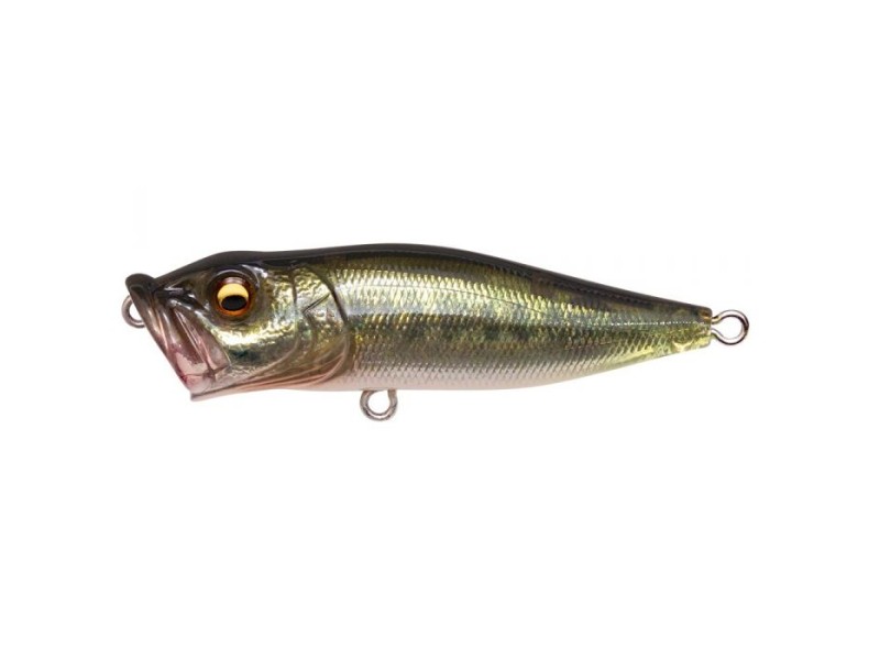 leurre-megabass-pop-x-19fa-bass.jpg leurre-megabass-pop-x-19fa-bass.jpg