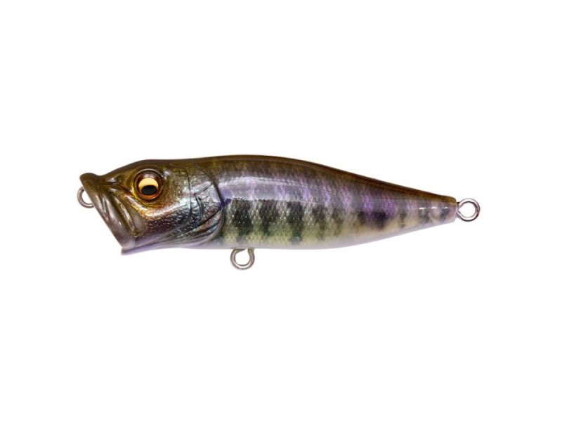 leurre-megabass-pop-x-21-fa-gill.jpg leurre-megabass-pop-x-21-fa-gill.jpg