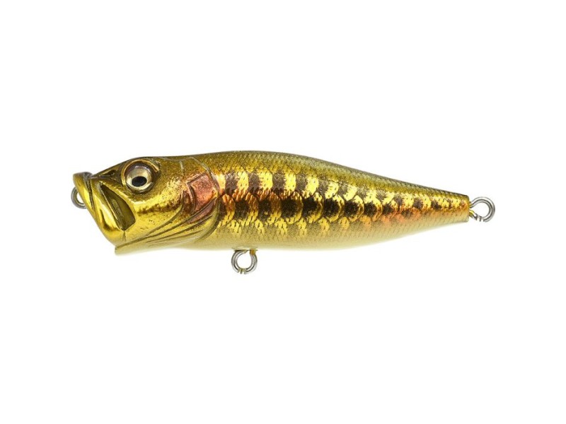 Leurre Megabass Pop X-Dragon_Fish_G Leurre Megabass Pop X-Dragon_Fish_G