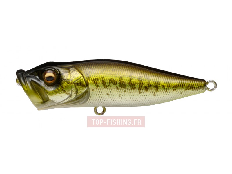 leurre-megabass-pop-x-gg-bass.jpg leurre-megabass-pop-x-gg-bass.jpg