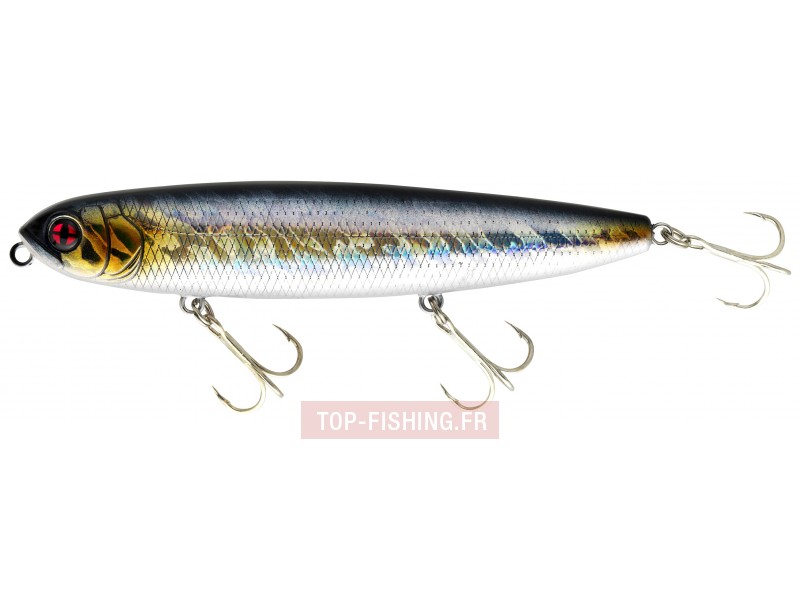 leurre-naja-125-f-couleur-aurora-minnow-a06-.jpg leurre-naja-125-f-couleur-aurora-minnow-a06-.jpg