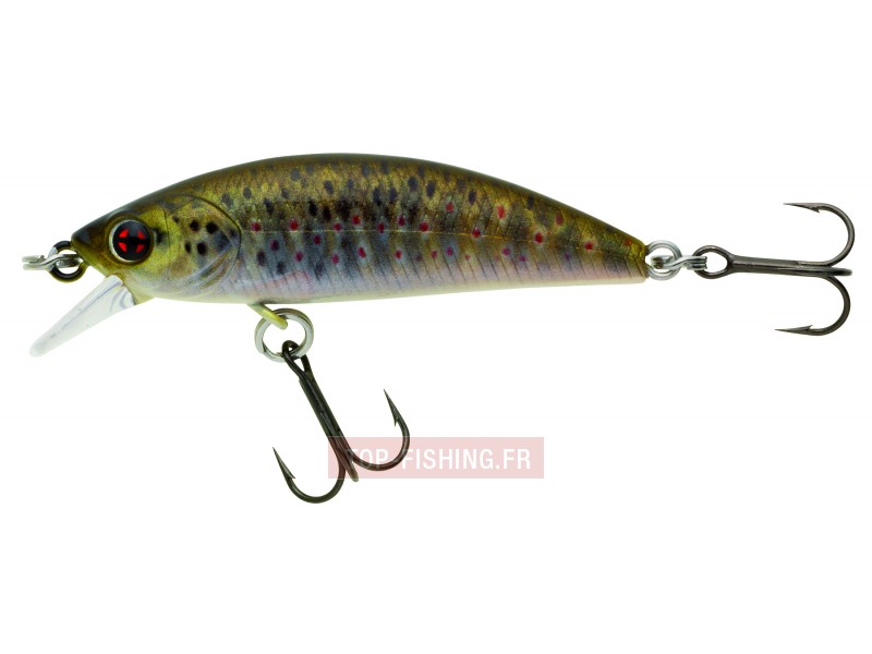leurre-phoxy-minnow-hw-40-s-couleur-real-life-fario-trout-rl04-.jpg leurre-phoxy-minnow-hw-40-s-couleur-real-life-fario-trout-rl04-.jpg