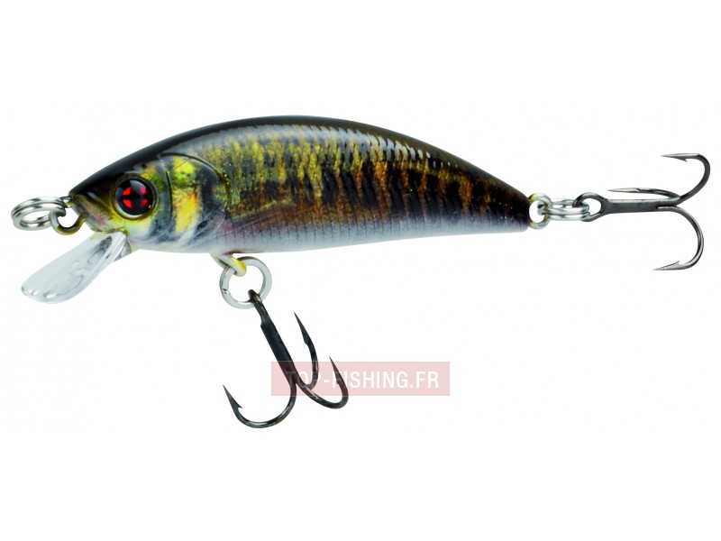 leurre-phoxy-minnow-hw-40-s-couleur-real-life-vairon-rl07-.jpg leurre-phoxy-minnow-hw-40-s-couleur-real-life-vairon-rl07-.jpg