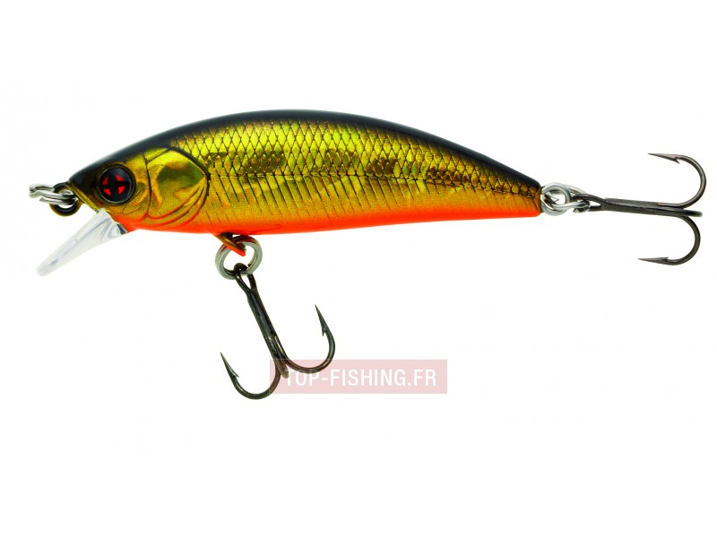 leurre-phoxy-minnow-hw-couleur-a11.jpg leurre-phoxy-minnow-hw-couleur-a11.jpg