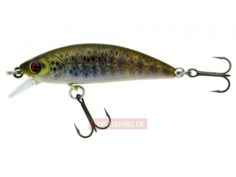 leurre-phoxy-minnow-hw-couleur-rl04.jpg leurre-phoxy-minnow-hw-couleur-rl04.jpg