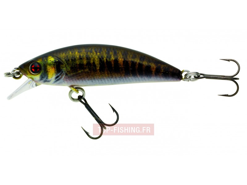 leurre-phoxy-minnow-hw-couleur-rl07.jpg leurre-phoxy-minnow-hw-couleur-rl07.jpg