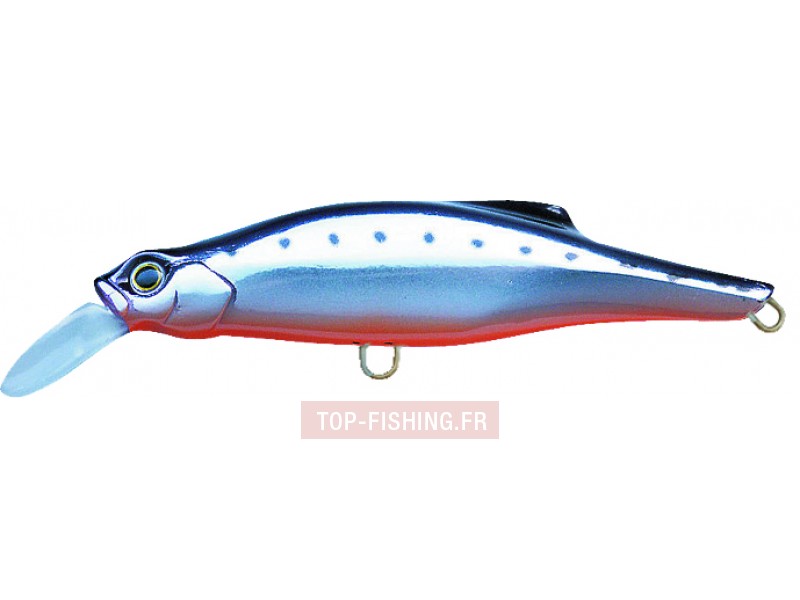 leurre-pintail-couleur-cbk.jpg leurre-pintail-couleur-cbk.jpg