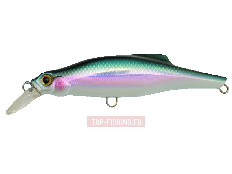 leurre-pintail-couleur-nki.jpg leurre-pintail-couleur-nki.jpg