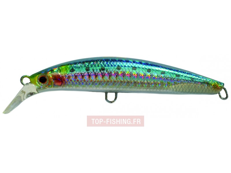 leurre-pintail-ez-couleur-siw.jpg leurre-pintail-ez-couleur-siw.jpg