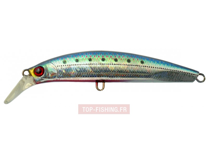 leurre-pintail-ez-couleur-sri.jpg leurre-pintail-ez-couleur-sri.jpg