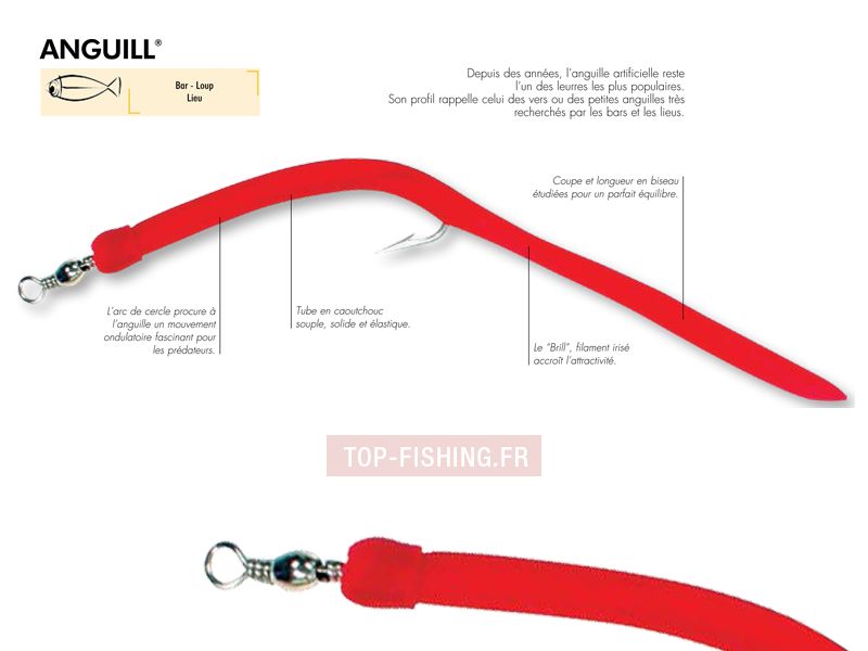 leurre-ragot-anguill-normande-fiche-technique.jpg leurre-ragot-anguill-normande-fiche-technique.jpg