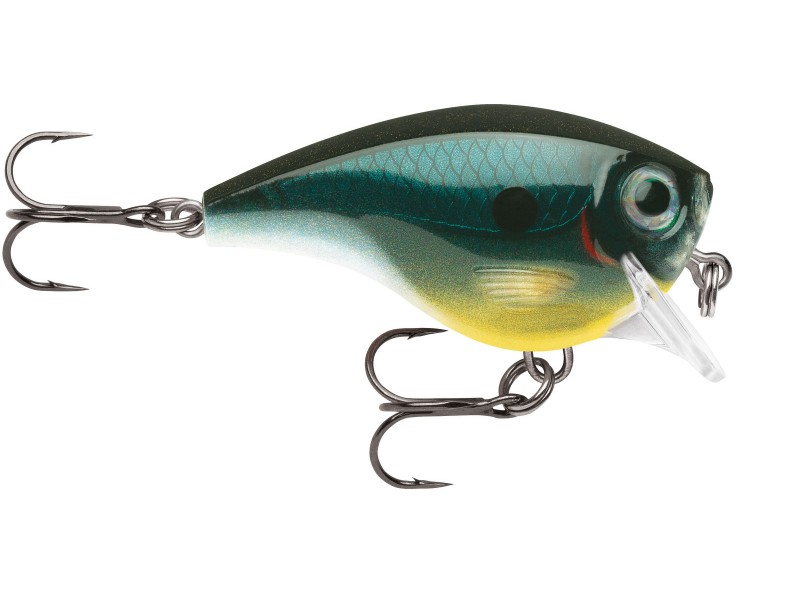 leurre-rapala-bx-brat-50mm-3-cbn.jpg leurre-rapala-bx-brat-50mm-3-cbn.jpg