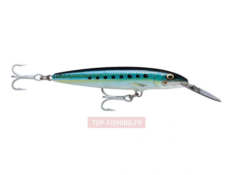 leurre-rapala-countdown-magnum-srd.jpg leurre-rapala-countdown-magnum-srd.jpg
