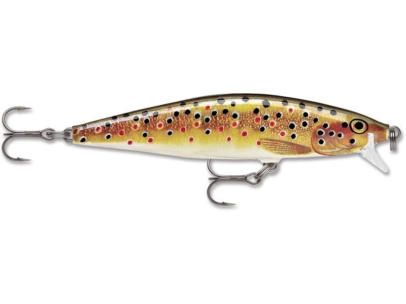 leurre-rapala-flat-rap-80mm-6-tr.jpg leurre-rapala-flat-rap-80mm-6-tr.jpg