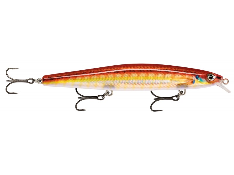 leurre-rapala-max-rap-long-range-minnow-120mm-13-dol.jpg