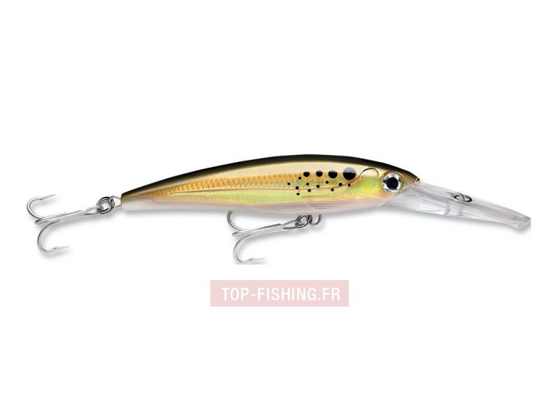 leurre-rapala-x-rap-magnum-bnk.jpg leurre-rapala-x-rap-magnum-bnk.jpg