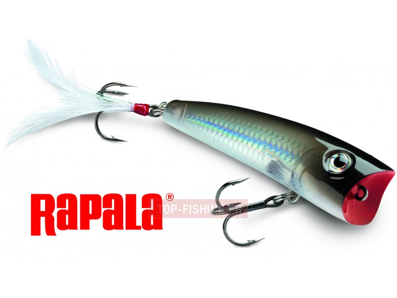 leurre-rapala-x-rap-pop.jpg