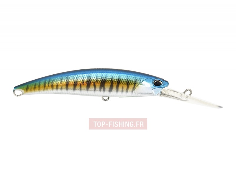 leurre-realis-fangbait-dr-sw-120mm-afa0224-wahoo-hd.jpg leurre-realis-fangbait-dr-sw-120mm-afa0224-wahoo-hd.jpg