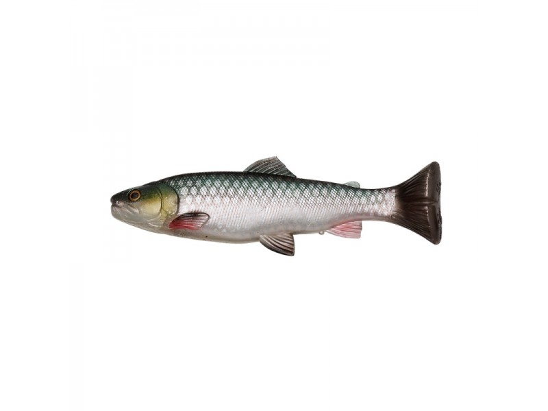 leurre-savage-gear-3d-craft-trout-pulsetail-160mm-3-green-silver.jpg leurre-savage-gear-3d-craft-trout-pulsetail-160mm-3-green-silver.jpg