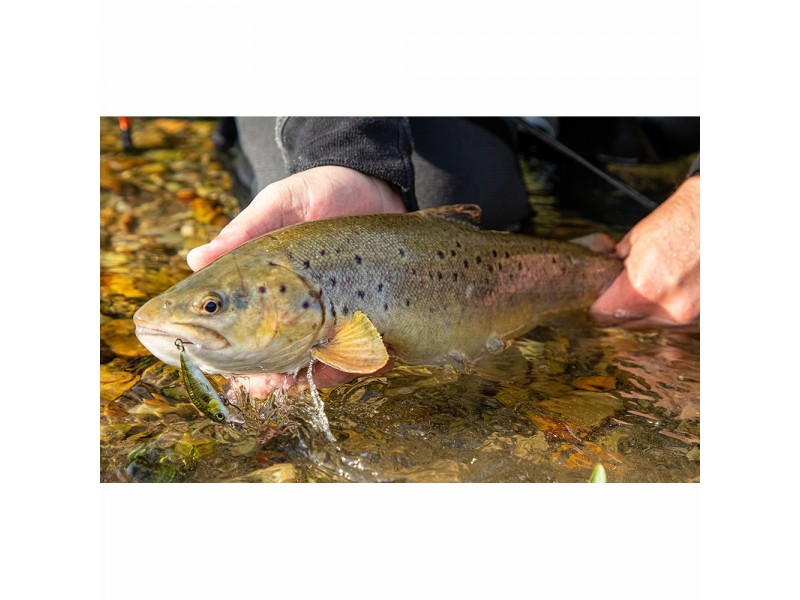 leurre-savage-gear-3d-sticklebait-twitch-coulant-55mm-10.jpg leurre-savage-gear-3d-sticklebait-twitch-coulant-55mm-10.jpg