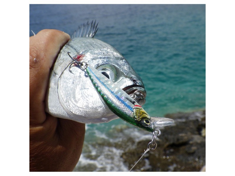 leurre-savage-gear-gravity-minnow-flottant-50mm-9.jpg