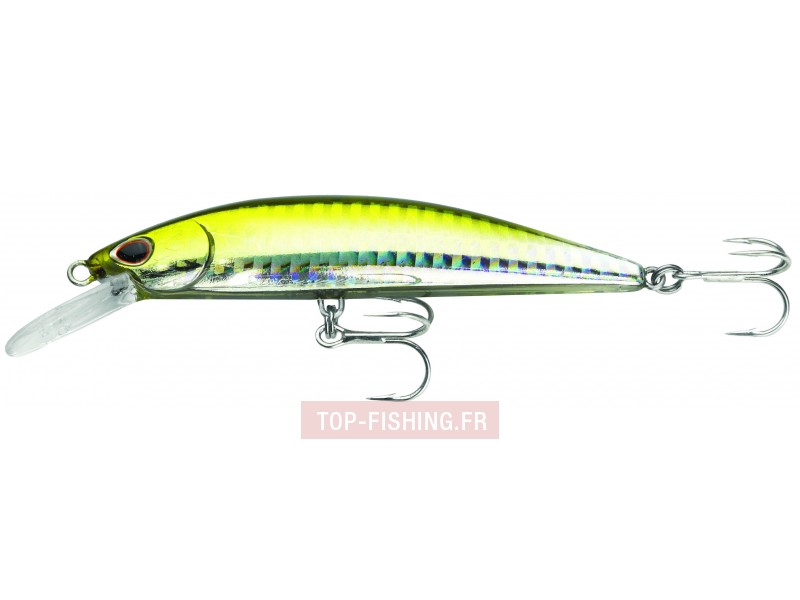 leurre-so-run-heavy-minnow-couleur-aji.jpg leurre-so-run-heavy-minnow-couleur-aji.jpg