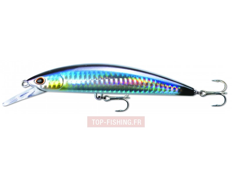 leurre-so-run-heavy-minnow-couleur-anchovy.jpg leurre-so-run-heavy-minnow-couleur-anchovy.jpg