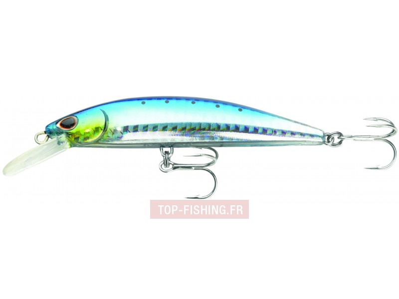 leurre-so-run-heavy-minnow-couleur-blue-sardine.jpg leurre-so-run-heavy-minnow-couleur-blue-sardine.jpg