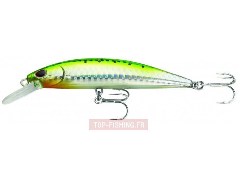leurre-so-run-heavy-minnow-couleur-green-sardine.jpg leurre-so-run-heavy-minnow-couleur-green-sardine.jpg