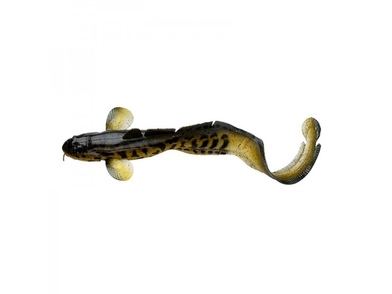 leurre-souple-arme-savage-gear-3d-burbot-250mm-3-burbot.jpg leurre-souple-arme-savage-gear-3d-burbot-250mm-3-burbot.jpg