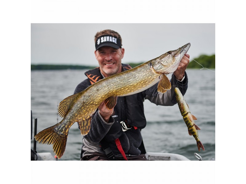leurre-souple-arme-savage-gear-4d-line-thru-pike-250mm-3.jpg leurre-souple-arme-savage-gear-4d-line-thru-pike-250mm-3.jpg