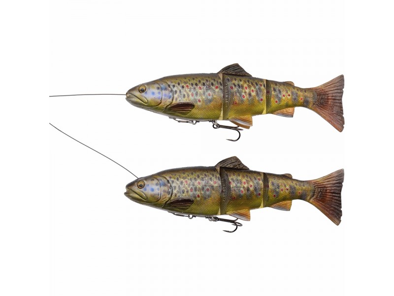 leurre-souple-arme-savage-gear-4d-line-thru-trout-250mm-6.jpg leurre-souple-arme-savage-gear-4d-line-thru-trout-250mm-6.jpg