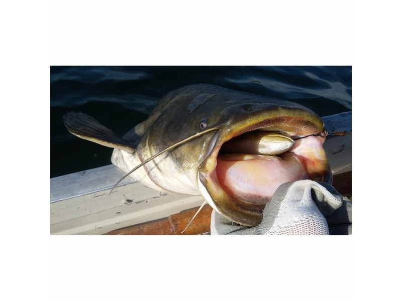leurre-souple-arme-savage-gear-4d-spin-shad-trout-110mm-5.jpg leurre-souple-arme-savage-gear-4d-spin-shad-trout-110mm-5.jpg