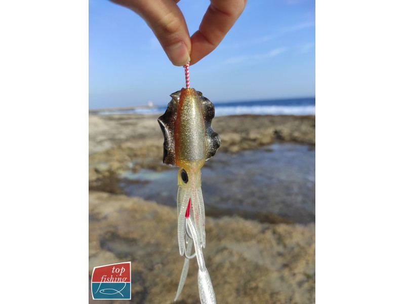 leurre-souple-arme-top-fishing-assistcuttle-6.jpg leurre-souple-arme-top-fishing-assistcuttle-6.jpg