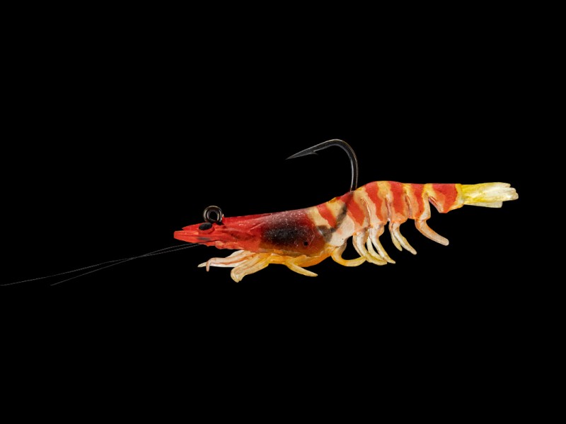 leurre-souple-arme-zerek-absolut-shrimp-71mm-4-tr.jpg leurre-souple-arme-zerek-absolut-shrimp-71mm-4-tr.jpg